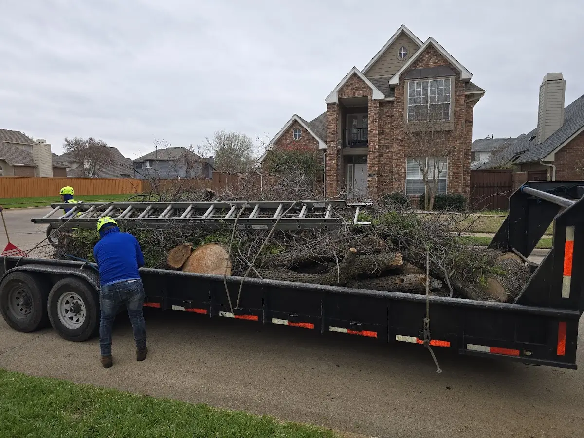 Expert Tree Fertilization with proper safety equipment in Dos Rios